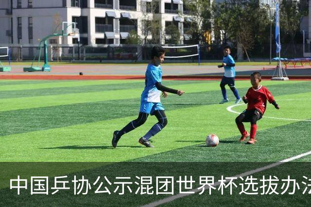 中国乒协公示混团世界杯选拔办法：服务奥运夺金目标