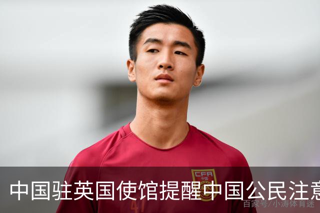 中国驻英国使馆提醒中国公民注意英方出入境检查