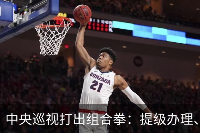 中央巡视打出组合拳：提级办理、深挖保护伞，查到线索再也瞒不住