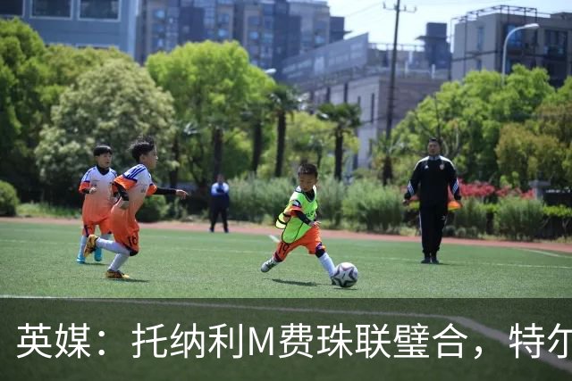 英媒：托纳利M费珠联璧合，特尔等热刺青年才俊展现强大潜力