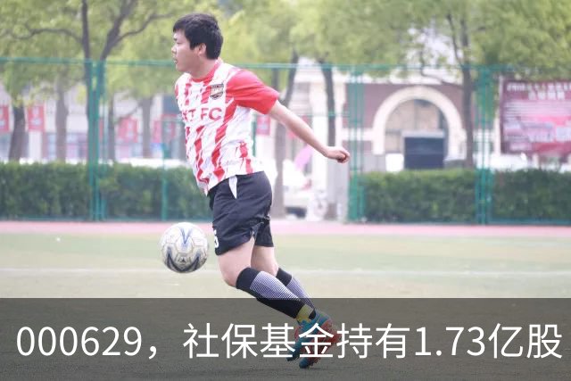 000629，社保基金持有1.73亿股